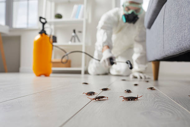 Commercial Kitchen Cockroach Control in Thiells